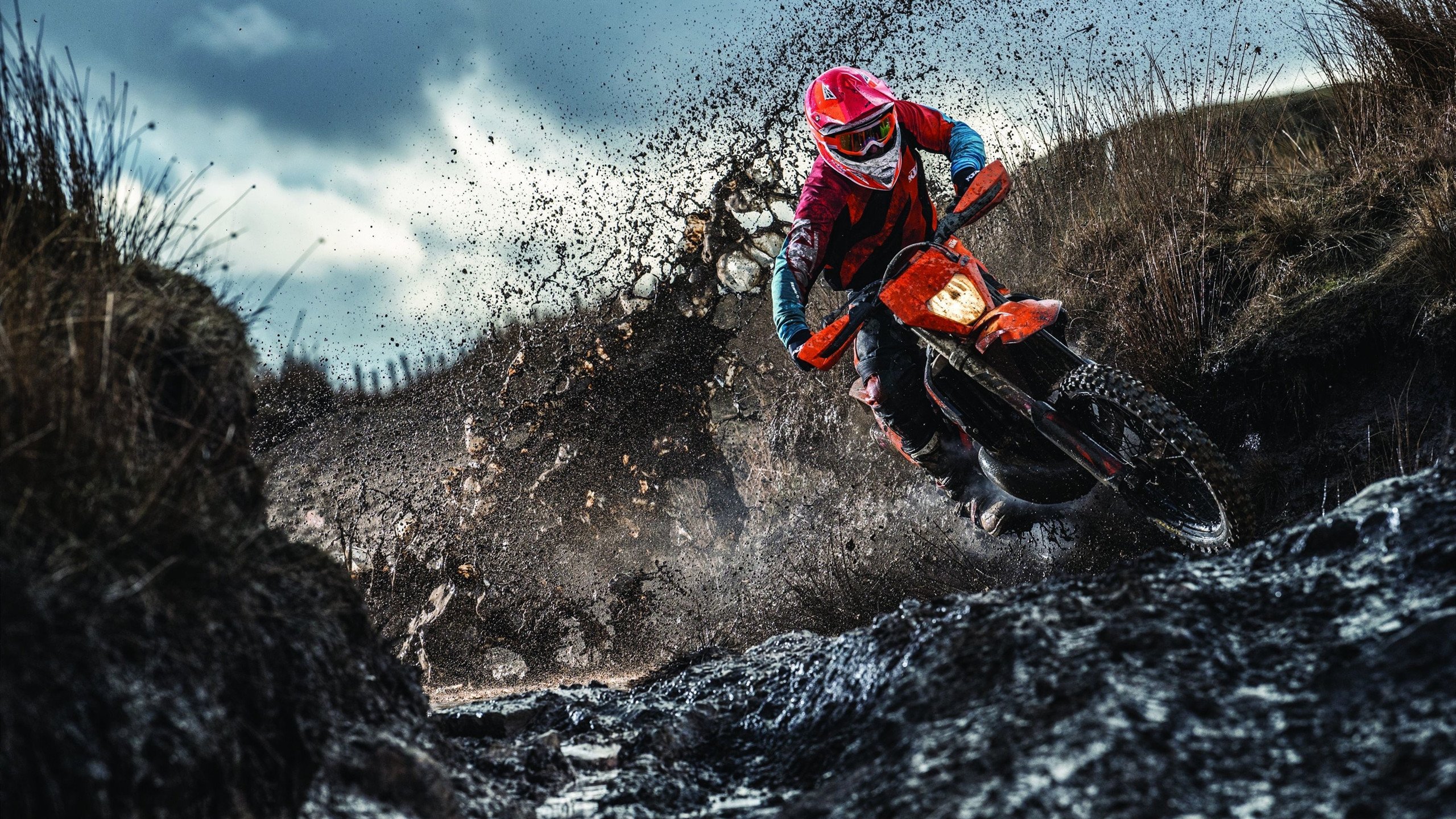 东京马拉松破纪录选手夺冠，体能与策略完胜，东京马拉松最好成绩